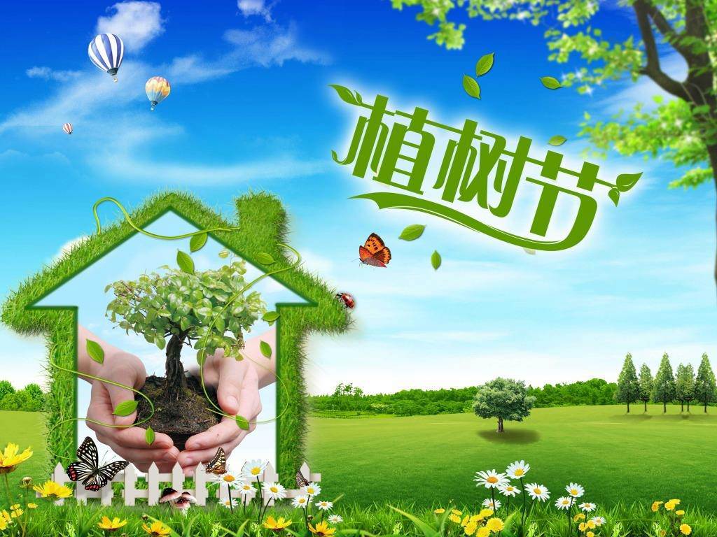 北京現(xiàn)代“智現(xiàn)代，植未來”，你我共建森林邵陽