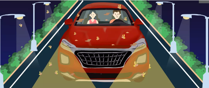 安全清除車身飛蟲(chóng)，僅需十分鐘